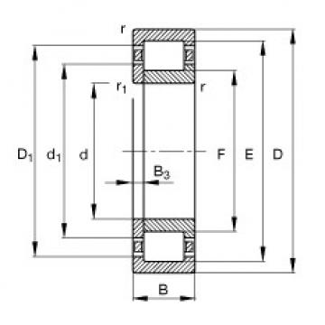 Original SKF Cylindrical Roller Bearings NUP219-E-TVP2 FAG