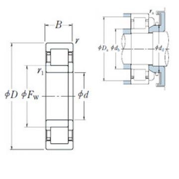 Original SKF Cylindrical Roller Bearings NUP2204 ET NSK