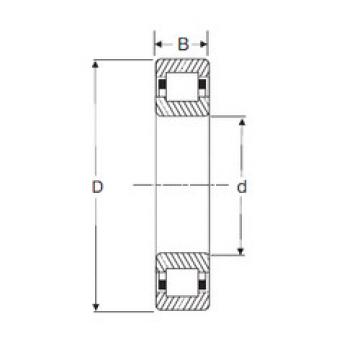 Original SKF Cylindrical Roller Bearings NUP2312 SIGMA