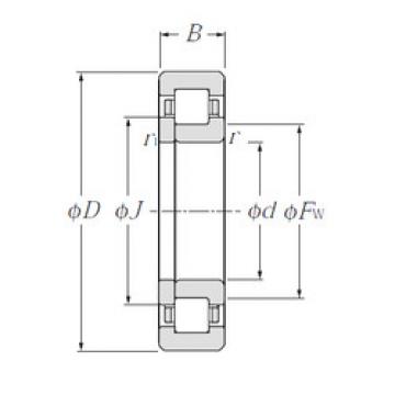 Original SKF Cylindrical Roller Bearings NUP219 NTN