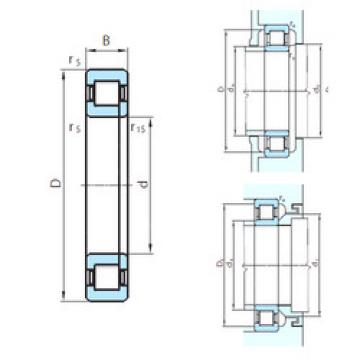 Original SKF Cylindrical Roller Bearings NUP29/1180 PSL