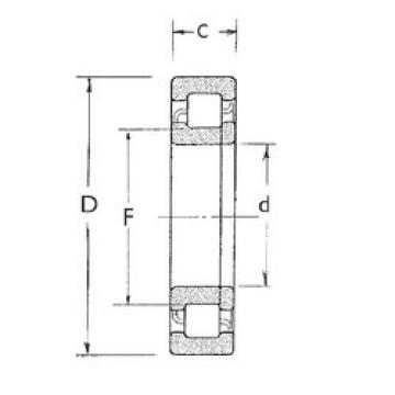 Original SKF Cylindrical Roller Bearings NUP220 FBJ