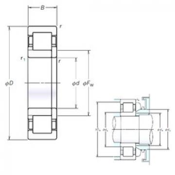 Original SKF Cylindrical Roller Bearings NUP221EM NSK