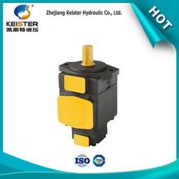 China DVMB-5V-20 wholesale high quality domestic pump