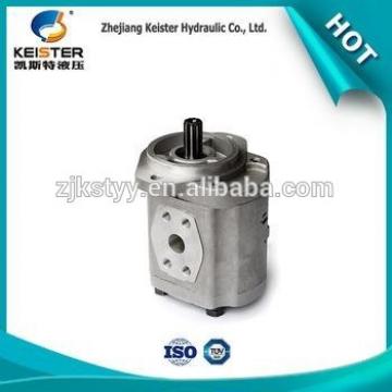 The DP13-30-L most novelomfb bidirectional gear pump