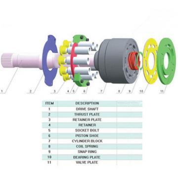 Fast delivery for MPT044 M44 HPN-721P Hydraulic pump spare parts