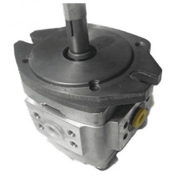 NACHI Gear pump IPH-4B-32-L-20